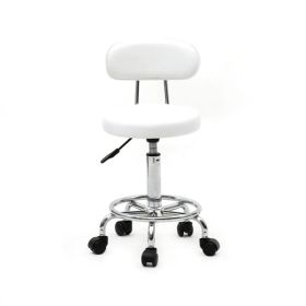 Round Shape Adjustable Salon Stool with Back and Line White (Option: White)
